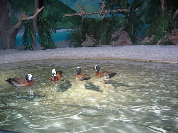 vacation 2006 017.jpg